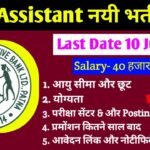 BSCB New Recruitment 2025