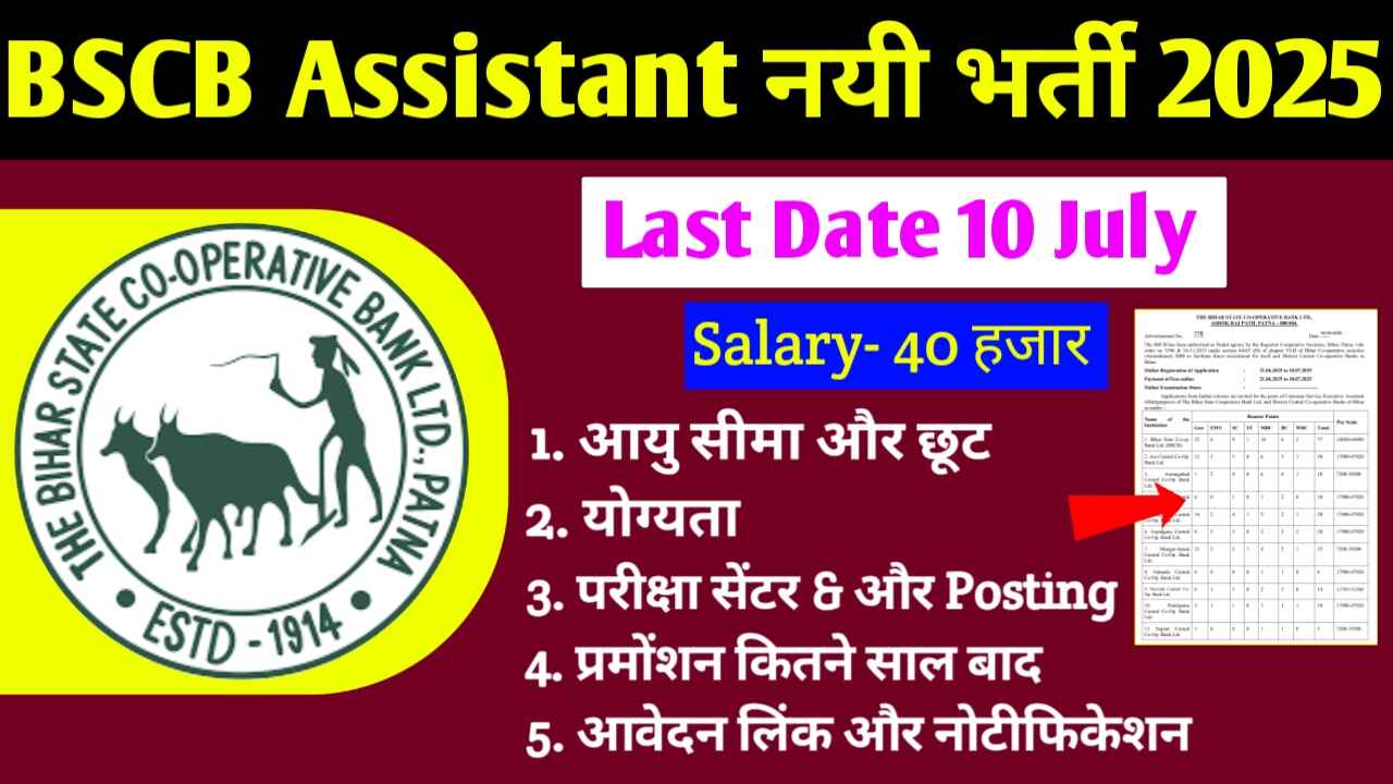 BSCB New Recruitment 2025