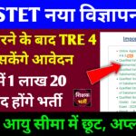 Bihar STET Notification 2025