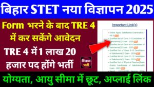 Bihar STET Notification 2025