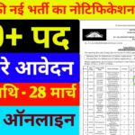 Delhi DSSSB New Recruitment 2026 Notification Out