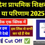 MP Primary Teacher Selection Test Result