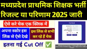 MP Primary Teacher Selection Test Result