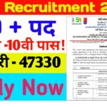 NCL New Recruitment 2026