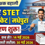 Bihar STET Certificate Distribution 2025 Madhepura