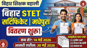 Bihar STET Certificate Distribution 2025 Madhepura