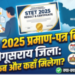STET 2025 Certificate Begusarai District Notice Out