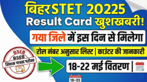STET 2025 Certificate Gaya Notice Out