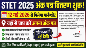 STET 2025 Certificate Kaimur District Notice Out